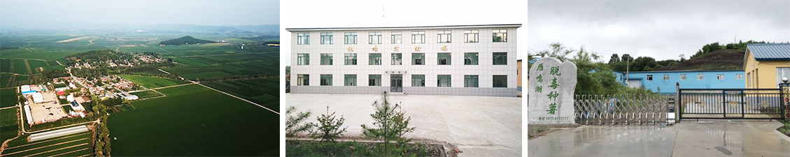 1641871839209353.jpg 1.jpg