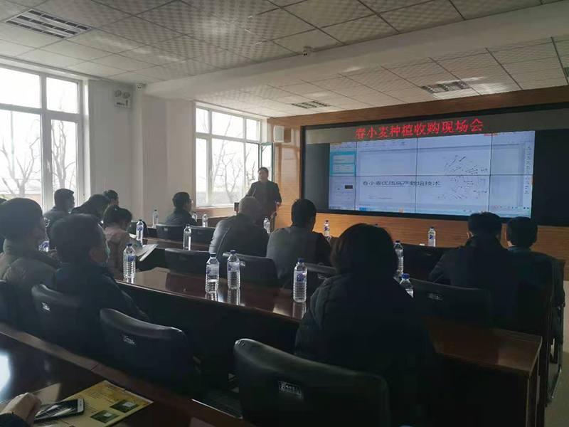 1642146255565050.jpg 2021.03.19-春小麥種植收購(gòu)現(xiàn)場(chǎng)會(huì)--州農(nóng)委領(lǐng)導(dǎo)主持召開(kāi).jpg